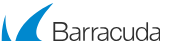 Barracuda Backup Consulting