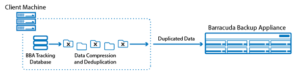 Barracuda Backup Deduplication Consultants