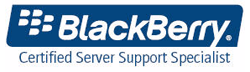 Blackberry Consultants