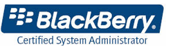 Blackberry Consultants