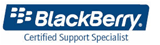 BlackBerry Consulting