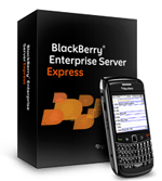 BlackBerry Enterprise Server Express Consulting