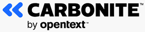 DoubleTake/Carbonite Software Consulting