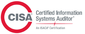 CISA Network Security Audit Consulting