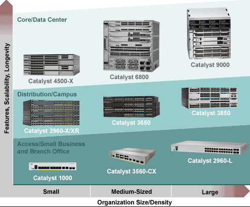 Catalyst Switches Planning and Support Services