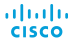 Cisco-certified CCIE Consultants