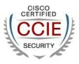 Cisco Certified CCIE Security Consultants