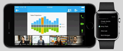 WebEx Web Conferencing Consulting and Support