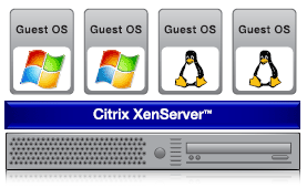 Citrix XenServer Integration Services