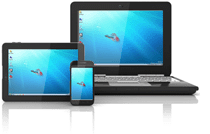 Citrix Receiver Consulting