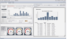 Management Reporting Consultants