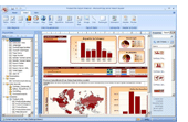 Management Reporting Software