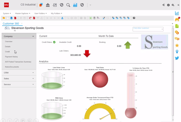 Infor CloudSuite Industrial (SyteLine) ERP Consultants