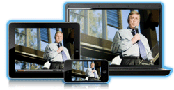 LifeSize Telepresence Consultants