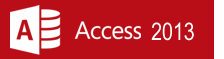 Microsoft Access 2013 Consulting