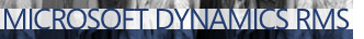 Microsoft Dynamics SL Consultants