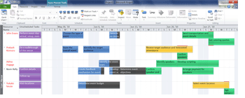 Microsoft Project Consulting