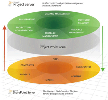 Project Server and SharePoint Consulting