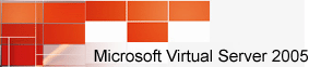 Microsoft Virtual Server consulting