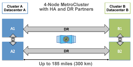 NetApp MetroCluster Consultants