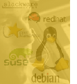Immediate Phone Technical Support for Linux