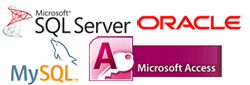 Database Application Development Consulting