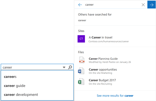 SharePoint Server SE Search Configuration Consultants