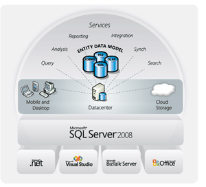 SQL Server 2008 Services