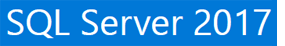 SQL Server 2017 Consultants