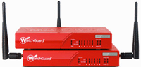 WatchGuard XTM 2 Series Firewall Consulting