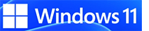 Windows 11 Consulting