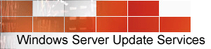 Microsoft Virtual Server consulting