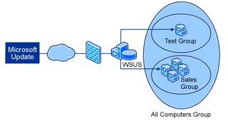Microsoft Virtual Server consulting